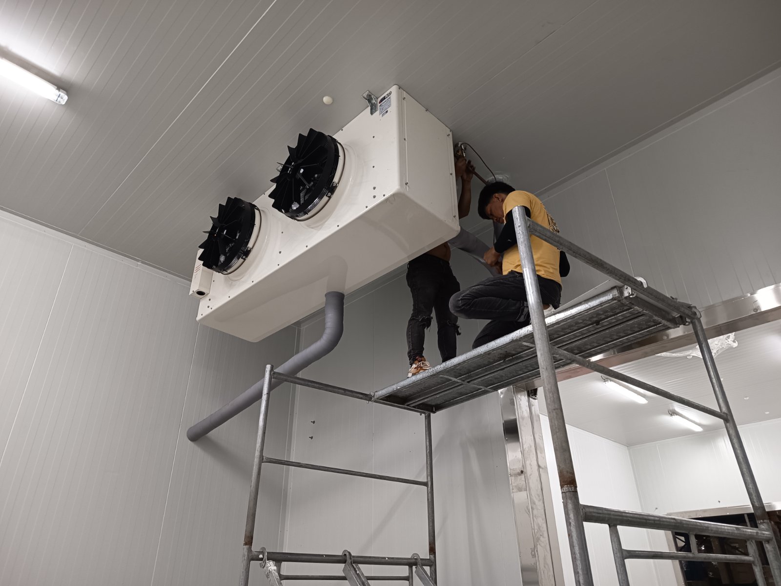 Walk-In Cold Storage Design & Installation 2